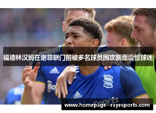 福德林汉姆在谢菲联门前被多名球员围攻画面震惊球迷